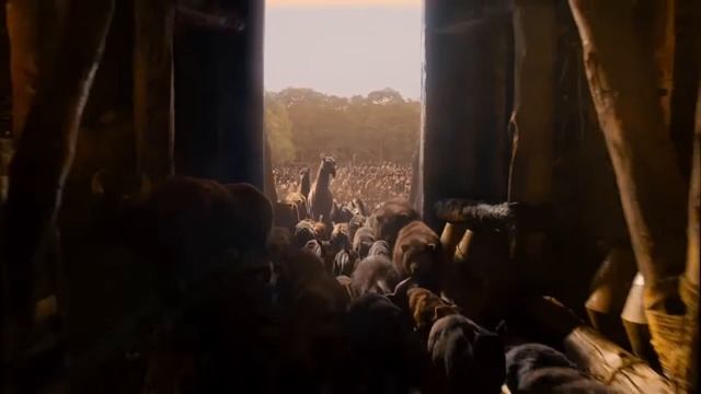 Обзор фильма - "Ной" смотреть онлайн