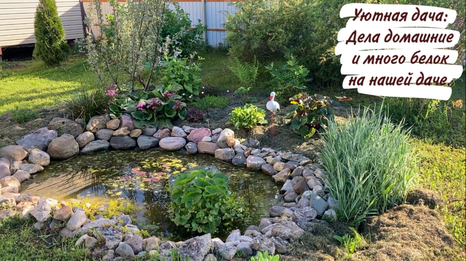 Уютная дача: Дела домашние и много белок на нашей даче. смотреть онлайн