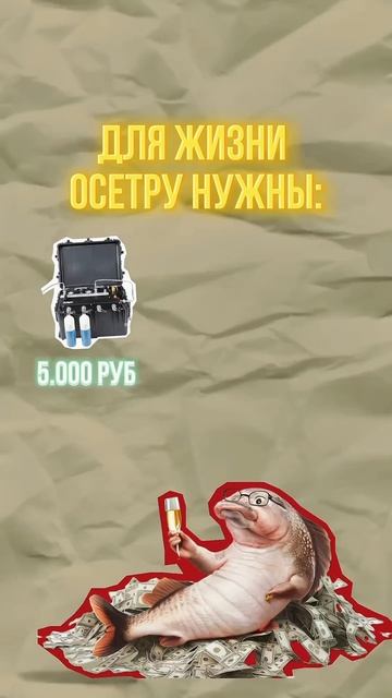 Осетр в ванне #бизнесснуля #бизнесидеи #обзор #бизнес смотреть онлайн