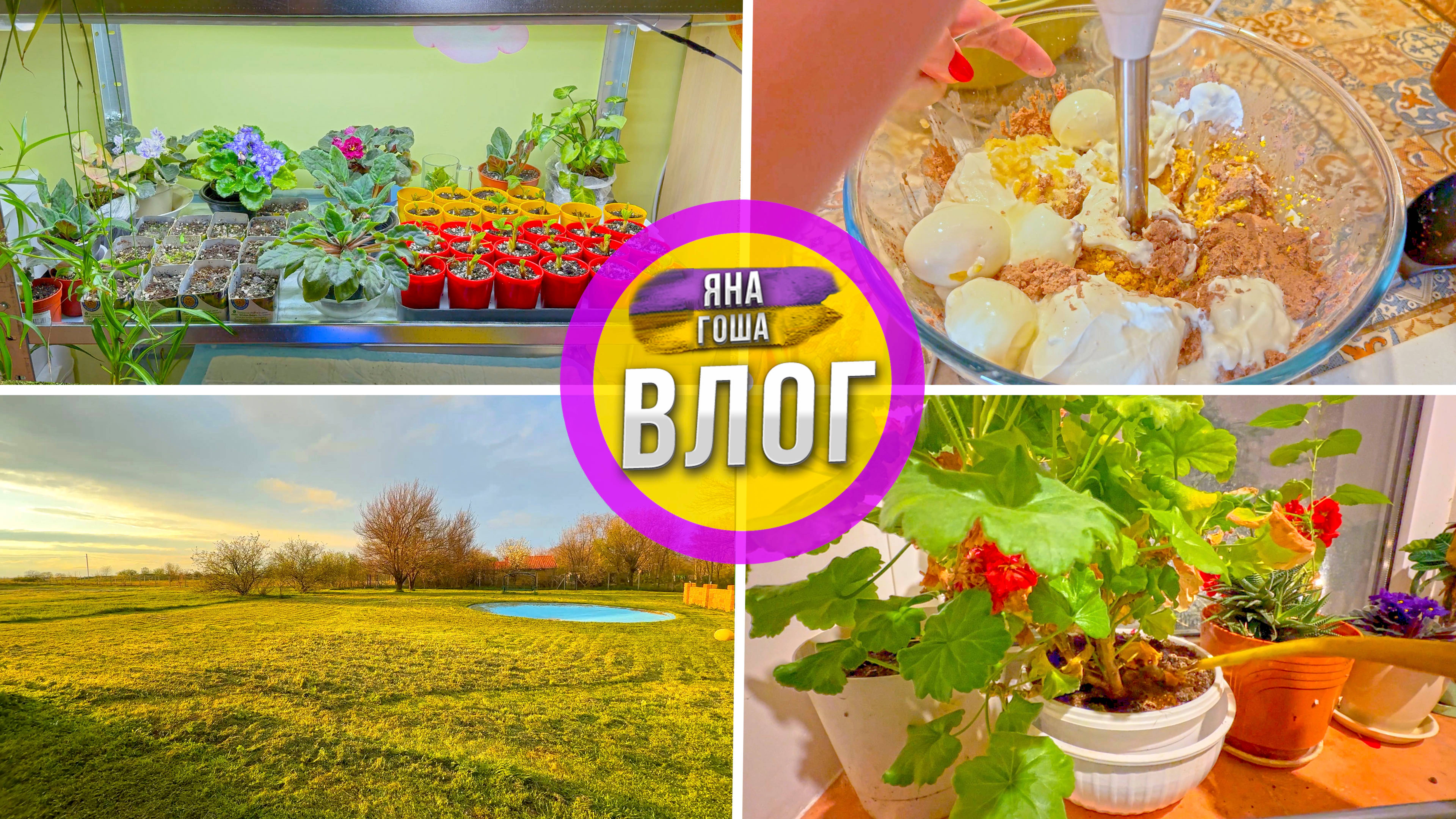 Волшебный стеллаж! Что Яна выращивает? Печеночный паштет. Как бороться с травой? смотреть онлайн