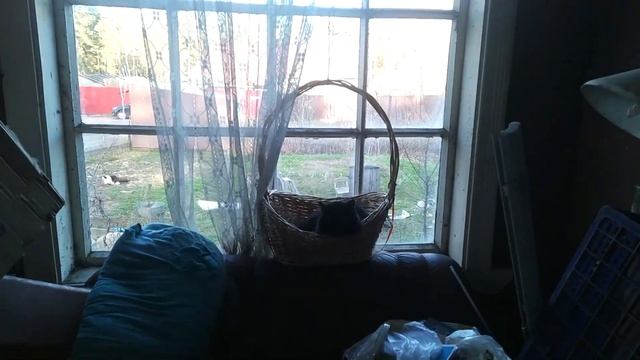 Флаги берёзовый сок 7 мая коптим рыбу техника с поворот не туда 1080 50p смотреть онлайн