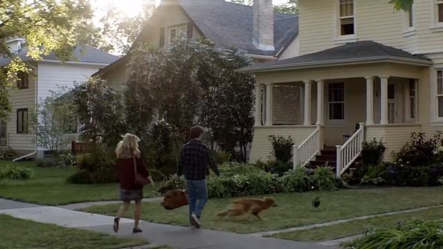 Собачья жизнь смотреть онлайн