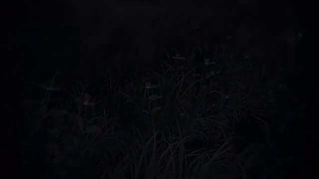 Uncharted Утраченное наследие №2 смотреть онлайн