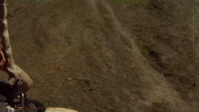 Зелёный адреналин)