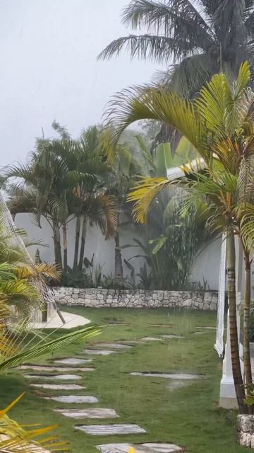 Нуса Пенида ❤️ смотреть онлайн