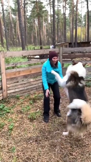 Калинка - малинка смотреть онлайн