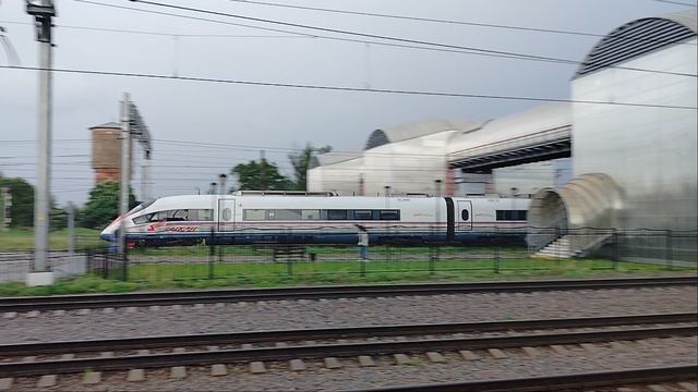 30 мая 2025 г. Высокоскоростной Электропоезд Сапсан ЭВС1-16 Любань смотреть онлайн