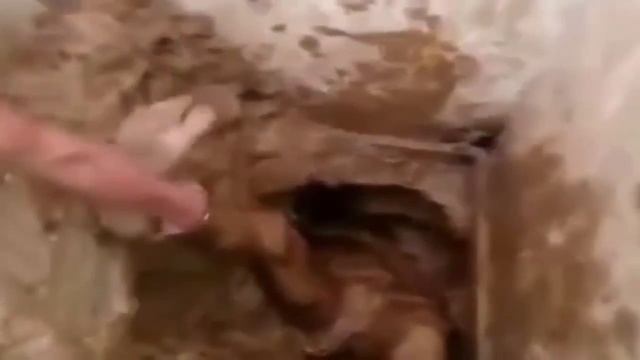 Побег из тюрьмы в стиле Побег из Шоушенка смотреть онлайн