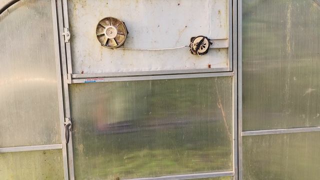 Вентиляция в теплице