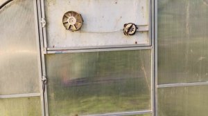 Вентиляция в теплице