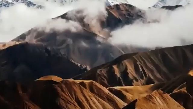 Новое видео UFC-TAJIKISTAN.Классная песня Таджикистан.#music #taj смотреть онлайн