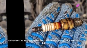 Появилась вибрация на холостом ходу. Поменяли свечи, ф