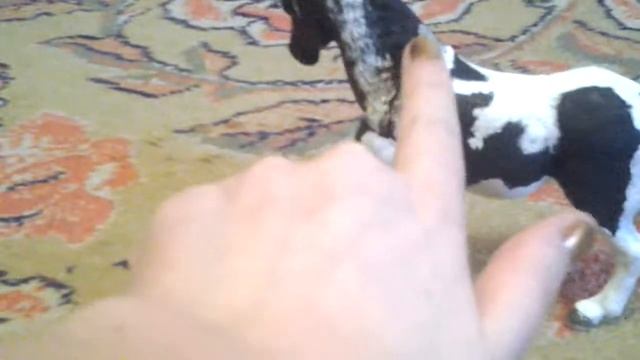 Лошади. 1 часть смотреть онлайн