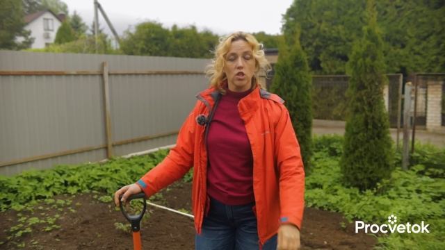 ИЗ-ЗА ЭТОЙ ОШИБКИ СОРНЯКОВ СТАНОВИТСЯ В РАЗЫ БОЛЬШЕ! Как быстро и легко избавиться от всех сорняков смотреть онлайн