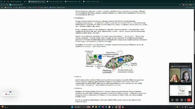 Recorded video - May 1, 2025 (1) смотреть онлайн