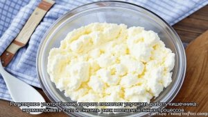 Полезен ли творог при ежедневном употреблении?