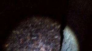 ВСТРЕЧА С ВЕДЬМОЙ В ЛЕСУ / СНЯЛ НЕЧТО / ОХОТА НА ВЕДЬМУ ч.2