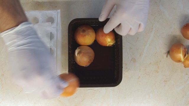 Как посадить лук на зелень на подоконнике. Лук на перо в домашних условиях смотреть онлайн