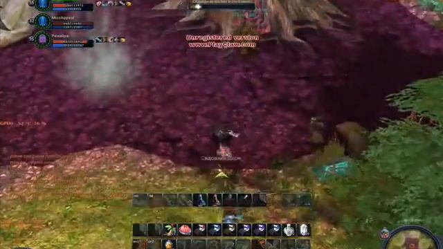 Арака дуо без хила №1