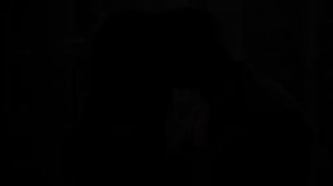 Пятьдесят оттенков черного 2016