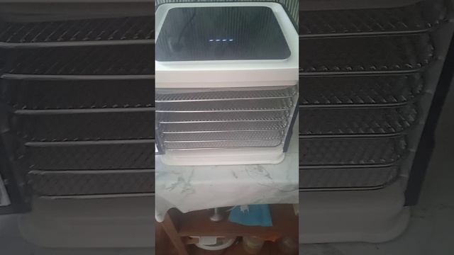 Дегидратор или сушилка для овощей, фруктов, мяса и рецепт куриных чипсов.