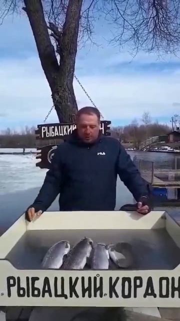 по открытой воде много сходов но этого стоит главное э смотреть онлайн