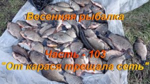 Весенняя рыбалка. Часть - 103. «От карася трещала сеть».