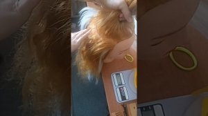 термозамещение МК показываю как делаю этот  вид плете?