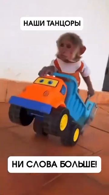 Едем на конкурс смотреть онлайн