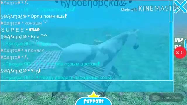 Разговоры со мной))) 🤗/Hill Cliff Horse - Online /Про всякую херню😋