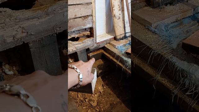 Дом сгнил за 10 лет смотреть онлайн