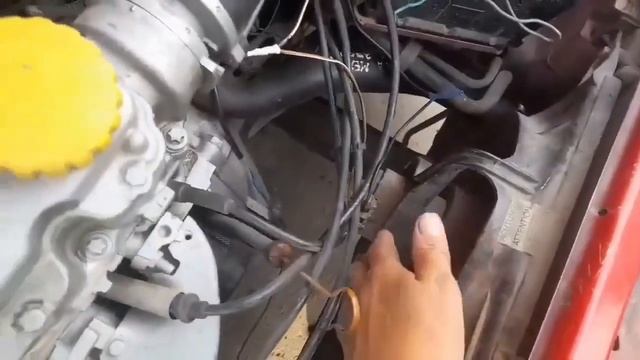 Климатический благоухание