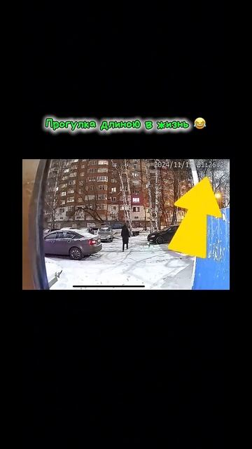 Есть только миг 🤣 когда ветер на улице #чихуахуа #pets #с смотреть онлайн