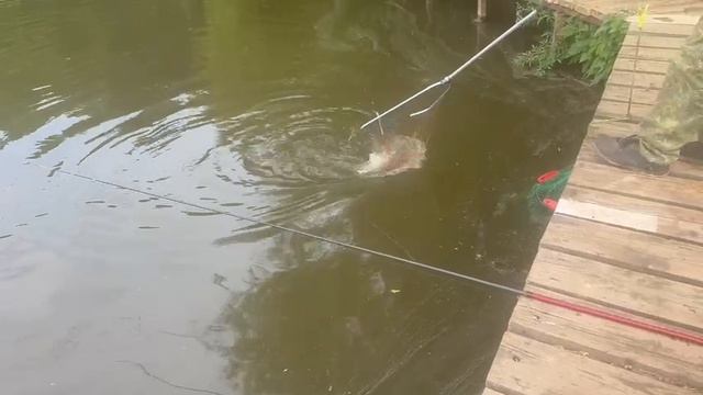 Карпуша смотреть онлайн
