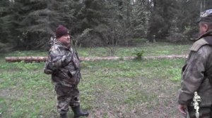 Испытания собак гончих пород по зайцу-беляку в Борско?