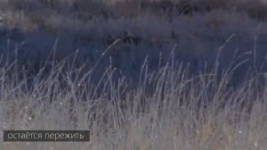 Юлия Славянская . "Остается пережить".