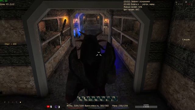 Gothic 2 Новый баланс УКС+АСНК Путь проклятого, вампир, 5 г? смотреть онлайн