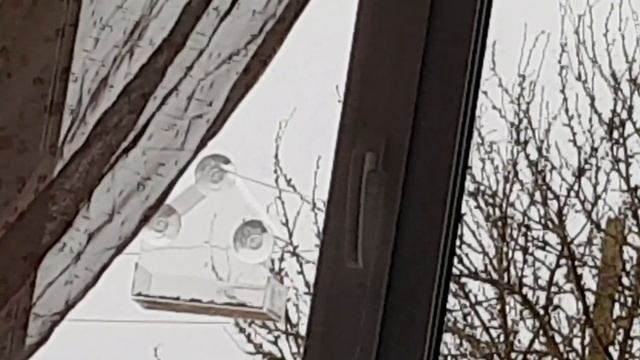 За чаем☕Наблюдаю🦅Ужинаем с сыном🍽Мои костыли