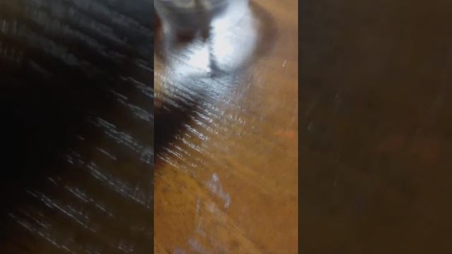 Мой уголок , где хронится всё для слаймов . смотреть онлайн