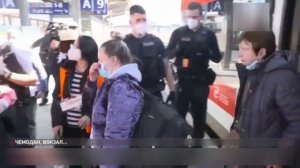 А может боги вовсе не с небес？ ⧸ Кот Костян