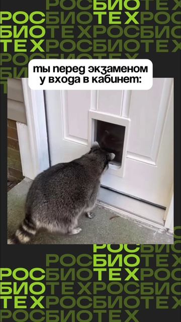 Всем успешной сдачи сессии! смотреть онлайн