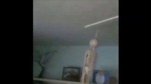 скелет крутится