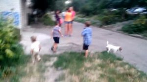 Шок!!! Недетские Игры!!!