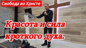 Красота и сила кроткого духа. Олег Мамонтов, г. Краснодар.