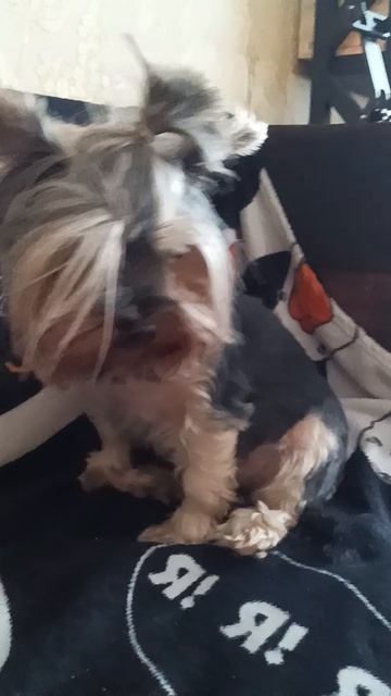 1007105957.mp4 смотреть онлайн