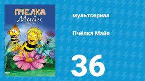 Пчёлка Майя 1 сезон 36 серия «Блоха Китти» (мультсериал, 1976)