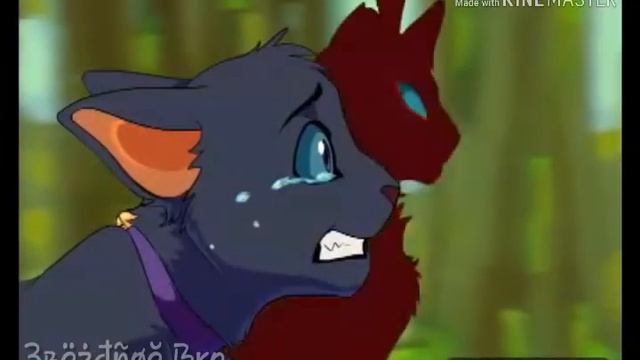 ||Cat-Warriors||Клип-Копы|| смотреть онлайн