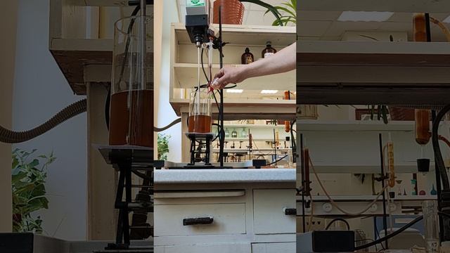 Многостадийный процесс титрования на степень делегнификации. Потом ещё каплю добавил ;) смотреть онлайн