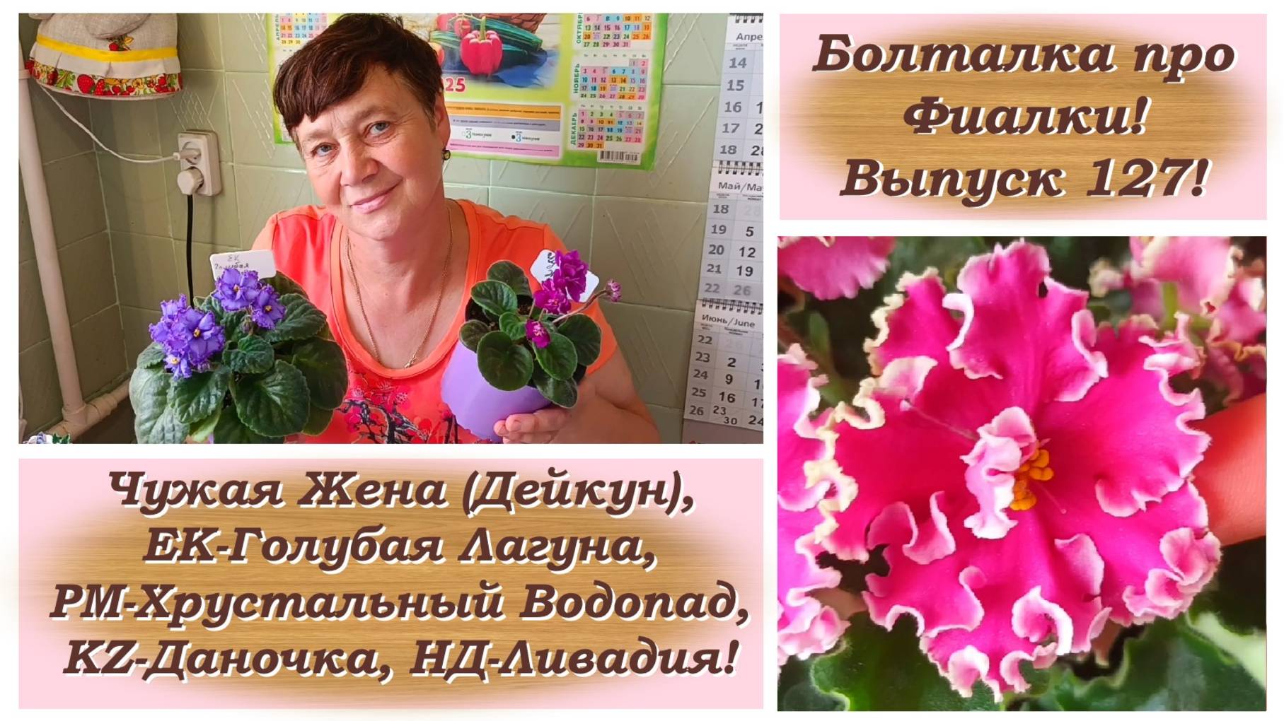 Болталка про Фиалки! Выпуск 127! Обзор цветущих стартеров Фиалок! смотреть онлайн