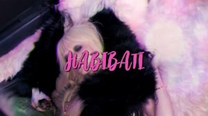 Пошлая Молли - Лучшие песни (2025)